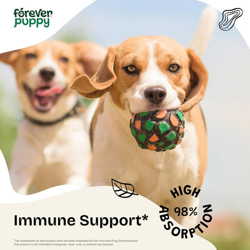 Echinacea for Dogs - Immune Supplement for All Breeds & Sizes - Immunity Support w/Echinacea Herb - Liquid Dog Vitamins and Supplements for Pets -...