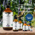 Organic Hyssop Essential Oil with Fresh Floral Scent, 100% Pure & Natural Essential Oil for Aromatherapy, Home Essential Diffuser Oil - USDA Certi...