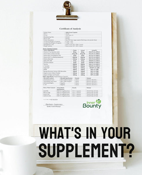Focus 14-in-1 Nootropic Brain Supplement with Lions Mane, Alpha GPC Choline, Vitamin C & B12, Taurine, Bacopa - Energy, Cognitive, Memory Support,...