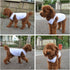 2018 Pet Clothes Dog Clothing Blank T-shirt Tanks Top Vests for Small Middle Large Size Dogs 100% Cotton Dog Summer Vest Classic (XL, White)...