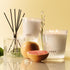 NEST New York Scented Votive Candle, Grapefruit - 2 oz - Up to 28-Hour Burn Time - Reusable Glass Vessel...