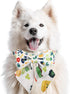 St.Patrick's Day Dog Collar with Bow Tie, Irish Shamrock Clover Collar for Boys and Girls Small Medium Large Pets Puppies (Medium)...