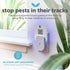 KATCHY Indoor Plug-in Insect Trap - Catcher & Killer for House Flies, Mosquitoes, Fruit Flies, Gnants, and Mosquitos - Chemical-Free, Eco-Friendly...