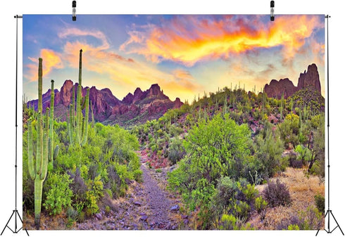 BELECO 7x5ft Fabric National Park Arizona Desert Backdrop Fire-Like Sky Mountain Landscape Green Plants Saguaro Cactus Photography Background West...