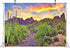 BELECO 7x5ft Fabric National Park Arizona Desert Backdrop Fire-Like Sky Mountain Landscape Green Plants Saguaro Cactus Photography Background West...