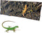Reptile Rock Tank Background Board Bearded Dragon 3D Aquarium Backgrounds Terrarium Habitat Stereo Backdrop Wall Decor for Gecko Lizard Chameleon ...