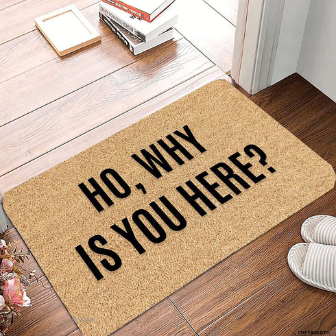 Welcome Mats for Front Door Outdoor Entry Ho Why is You Here Doormat Doormat Non Slip Mat for Home Indoor Farmhouse Funny Kitchen Rugs Patio Greet...