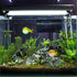 POPETPOP Luminous Puffer Fish Tank Aquarium Decoration, Fluorescent Simulation Puffer Cool Fish Tank, Fish Tank Decoration, Fake Fish Aquarium Orn...