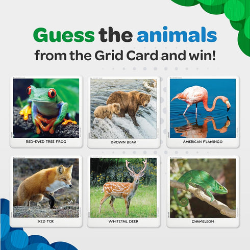 National Geographic - Secret Clue | Card Game for Kids 7 & Up | Fun & Cooperative Board Games for The for Girls & Boys Ages 7, 8, 9, 10...