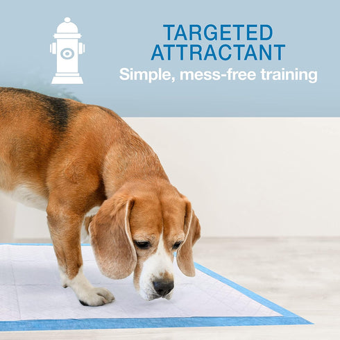 Four Paws Wee-Wee Superior Performance XL Pee Pads for Extra Large Dogs, Leak-Proof Floor Protection Dog & Puppy Quilted Potty Training Pads, Unsc...