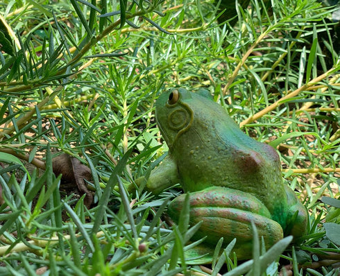 Gemini&Genius Tree Frog Toy Figure for Kids, Realistic Hand Painted Toy Bullfrog Action Figure Play or Display Toy, Animals Educational and Role P...