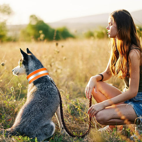 2 Pcs Reflective Dog Collar High Visibility Adjustable Pet Collars with Quick Release Fastener Comfortable Dog Walking Accessories for Small Mediu...