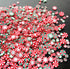 EHOPE Fake Sprinkles Fake Christmas Sprinkles Fake Candy Sprinkles Polymer Clay Sprinkles Polymer Sprinkles Christmas Polymer Clay Slices for Nail...