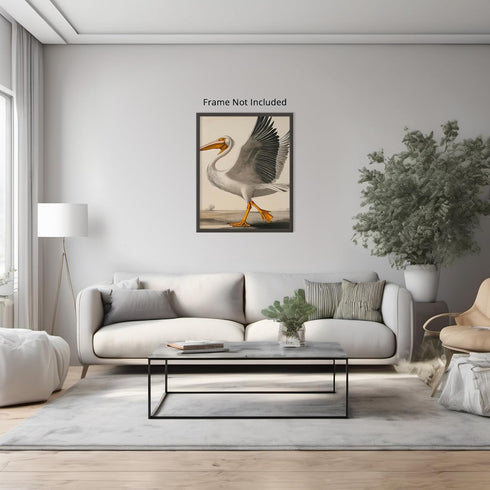 Posterizer 1 pcs-White Pelican detailed art work 1-Art for Animal Lovers-Collectibles & Fine Art-Decor for Home & Office- unframed wall art...
