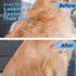 5 PCS Knotting Comb for Cats and Dogs, Pet Knotting Comb for Hair Removal, Pet Hair Removal Tool, Cat Dog Grooming Comb Shedding Tool Hair Remover...