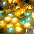 1 Pcs Ocean Beach Themed Sea Life Cute Fairy Decorative String Lights 10 FT 30 LEDs, 8 Light Modes Battery Operated, Starfish and Seashell Design ...