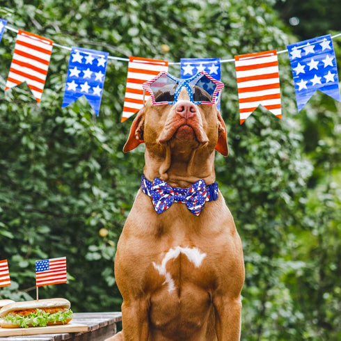 American Flag Dog Collar Ayaseen 4th of July Dog Collar, Adjustable Dog Bow Tie Collar, Independence Day Red White and Blue Dog Collar, Dog Collar...