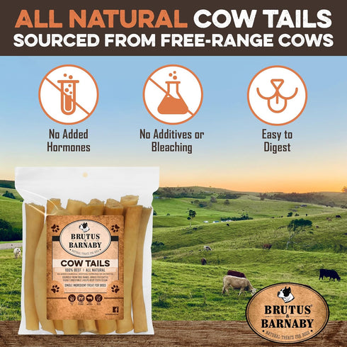 BRUTUS & BARNABY 100% Natural Cow Tails Dog Treat - Our Healthy Cow Tails for Dogs are Easy to Digest, Chemical & Hormone Free - Thick & Hearty Ch...