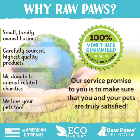 Raw Paws Grooming Brush, 1 ct - Hand-Held Rubber Tipped Pin Brush for Dogs & Cats - Dog Pin Brush - Dog Brush for Shedding - Bath Brush for Dogs w...