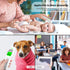 Forehead Thermometer for Adults and Kids: Fever Thermometer for Home - Large Bolded Digital Temperature Reading...