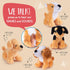 Plush Puppies Set for Toddlers Toys | 4 Plush Talking Animals | 4 Plush Stuffed Puppy Dogs | Plush Stuffed Puppies | Bulk Assorted Puppies | Baby ...