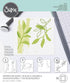 Sizzix Layered Reusable Crafts 4PK Watercolor Leaves by Olivia Rose | 664918 | Chapter 4 2022 Stencils, Mulitcolour...