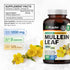 BIO KRAUTER Mullein Capsules for Lung Detox 1200 mg - 250 Count - Mullein Leaf Capsules for Respiratory Support - Vegan Lung Support Supplement - ...