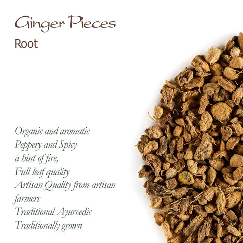Ginger Root Organic Spice - Tanacetum Parthenium Seasoning - Root Ginger Dried Root Ginger Dried Ginger Root Ginger Spice...