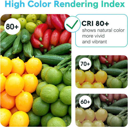 3 Way LED Light Bulbs 50 100 150W Equivalent, Daylight White 5000K 3 Way Light Bulbs, A19 Three Way Light Bulbs,E26 Base 3-Way Light Bulbs for Rea...