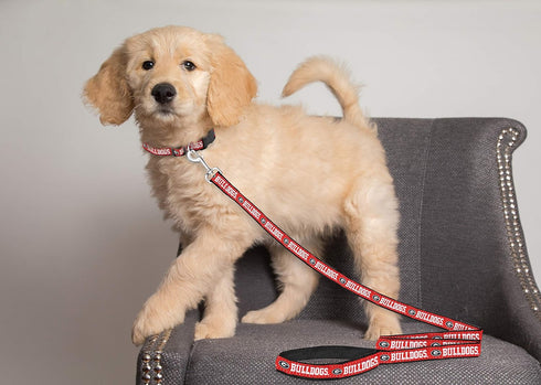 Pets First Collegiate Pet Accessories, Dog Leash, Georgia Bulldogs, Small...