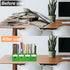 Green Cardboard Magazine Holder (2 Pack), Magazine File Holder for Desk, Sturdy Book Bins for Classroom, Vertical File Folder Organizer, 10.6'' H×...