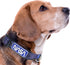 NASA PET Collar Dog Collar, Size Small Space Collar for Dogs & Cats. A Shiny & Colorful Cat Collar & Dog Collar with The NASA Logo and Design...