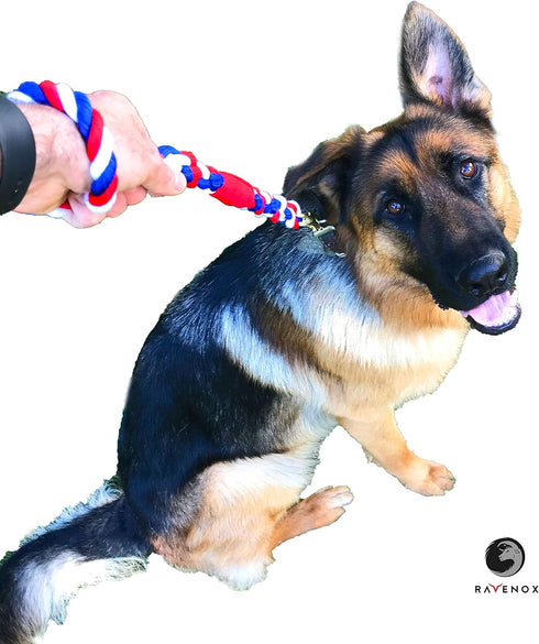 Ravenox Traffic Handle Short Dog Leash | Strong, Comfortable Cotton Rope Dog Leash for Pets |(Turquoise)(16-inches Long)| Handmade in The USA with...