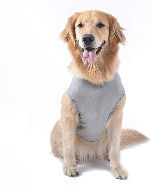 Star Wars for Pets Yoda Dog Tee - Star Wars Dog Shirt for Large Dogs - Size X-Large - Soft, Cute, and Comfortable Dog Clothing and Apparel, Cute D...