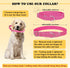 6 Pcs Martingale Collar for Dogs Reflective Dog Collar with Metal Buckle Adjustable Nylon PET Collar Prevent Slipping out Puppy Collars for Dog (P...