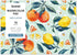 Grabie Watercolor Paper Pad, 100% Cotton Pulp, 15 Sheets, B5 (10.1 x 7.4"), 140lb (300gsm), Glue Bound, Acid-Free Cold Pressed Watercolor Paper, A...