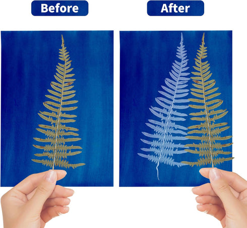 42 Sheets Cyanotype Paper Sun Print Paper Kit, A4 A5 A6 4in Solar Drawing Paper Sensitivity Nature Printing Paper, Cyanotype Paper Kit with 1 A4 A...