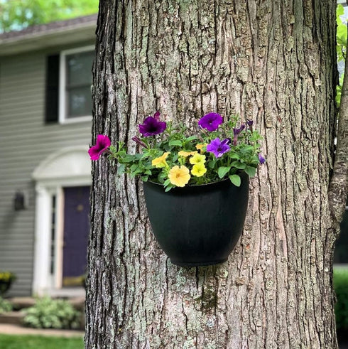 The HC Companies 8 Inch Garden Wall Planter - Plastic Hanging Plant Pot for Indoor Outdoor Flowers, Herbs, Slate Blue...