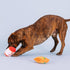 Fringe Studio Plush Dog Toy Set with Treat Pockets for Interactive Play, Nothin’ But Noodles, 2 Piece Set, Pet Shop Collection (124011)...