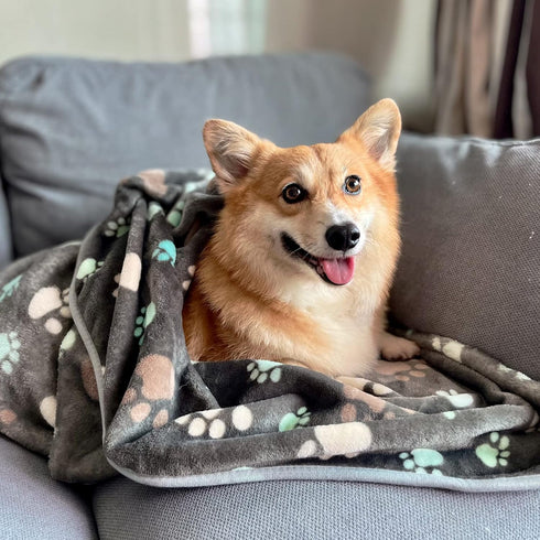 1 Pack 3 Puppy Blankets Super Soft Warm Sleep Mat Grey PAW Print Blanket Fleece Pet Blanket Dog Blankets for Small Dogs Puppy Dogs Fluffy Cats,Med...