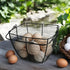Black Square Wire Egg Basket For Fresh Egg with Handle,Famhouse Small Metal Egg Collecting Basket for Gathering Fresh Eggs Chicken Basket Decor fo...