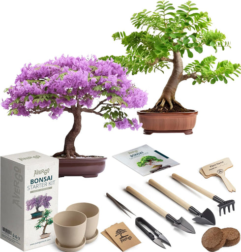 Bonsai Starter Kit – 2X Bonsai Tree | Complete Indoor Starter Kit for Growing Bonsai Plants with Tools & Planters – Gardening Gifts for Women & Me...