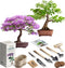 Bonsai Starter Kit – 2X Bonsai Tree | Complete Indoor Starter Kit for Growing Bonsai Plants with Tools & Planters – Gardening Gifts for Women & Me...