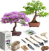 Bonsai Starter Kit – 2X Bonsai Tree | Complete Indoor Starter Kit for Growing Bonsai Plants with Tools & Planters – Gardening Gifts for Women & Me...