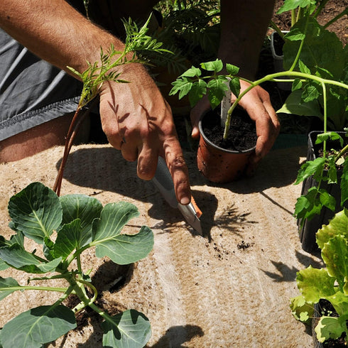 XW 4-pack Self-retracting Safety Box Cutter, Utility Knife with Quick Blade Change, Extra 10 Blades Included...