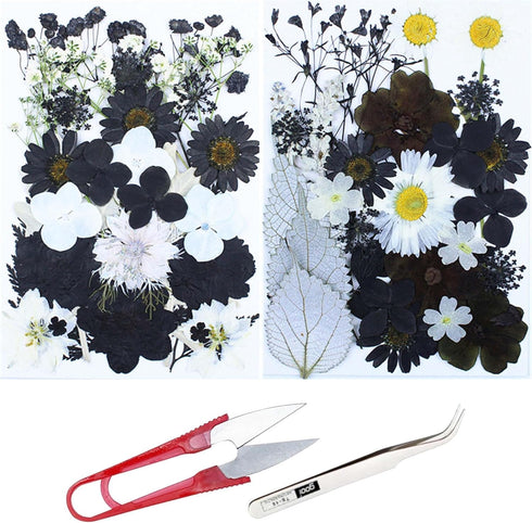 Cayway 2 Pack Dried Pressed Flowers for Resin Molds, Black Real Pressed Flowers Dry Leaves Kit Natural Dried Pressed Leaves for Art Crafts Resin S...