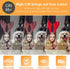Sailstar G9 LED Bulb Dimmable 40W Equivalent, G9 Bulb 3000K Warm White, 400 Lumens, 360° Beam Angle, No Flicker, 120V, G9 Bi-pin Bulb Ceramic Base...