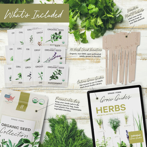15 Certified Organic Herb Seeds Variety Pack (4X More) 10,000+ Non GMO Seeds for Planting Indoor Herb Garden or Outdoor Herb Garden Seeds for Plan...
