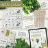 15 Certified Organic Herb Seeds Variety Pack (4X More) 10,000+ Non GMO Seeds for Planting Indoor Herb Garden or Outdoor Herb Garden Seeds for Plan...