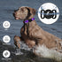 Dog Collar for Medium Large Breed Dogs with 360° Water Proof Airtag Holder, Padded Soft Reflective Nylon Pet Collar for Puppy Small Girl Boy Dogs,...